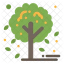 Fall Tree  Icon