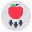 Falling Apple Gravitational Force Physics Icon