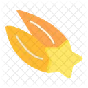 Comet Star Space Icon