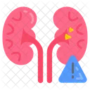 Insuficiencia Organica Insuficiencia Renal Enfermedad Renal Icono