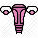 Fallopian  Icon
