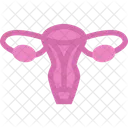 Fallopian Tubes Icon Vector Icon