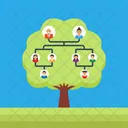 Family Tree Genealogical Icon