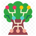 Family Tree  Icon