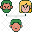 Family Tree Hierarchy Genealogy Icon
