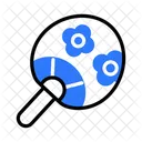 Hand Fan Fan Chinese Fan Icon