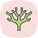 Fan Coral Fan Coral Icon