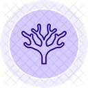 Fan Coral Fan Coral Icon