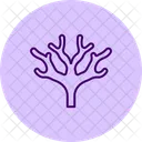 Fan Coral Fan Coral Icon