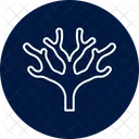 Fan Coral Fan Coral Icon