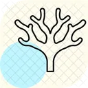 Fan Coral Fan Coral Icon