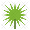 Fan Palm  Icon