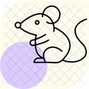 Fancy Mouse Fancymouse Pet Icon