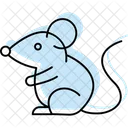 Fancy Mouse Fancymouse Pet Icon
