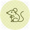 Fancy Mouse Fancymouse Pet Icon