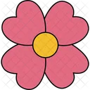 Fanos Flower Exotic Bloom Vibrant Petals Icon