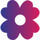 Fanos Flower Exotic Bloom Vibrant Petals Icon