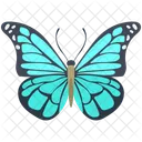 Farfalla Morpho Blu  Icon