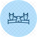 Farm Animal Fence Farm Animal Icon