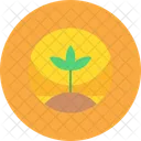 Fruit Fresh Nutrition Icon