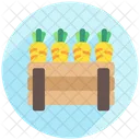 Fresh Organic Vegetable Icon