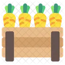 Fresh Organic Vegetable Icon