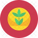 Farm Growth Farm Growth Icon