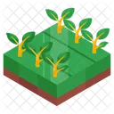 Farm Agriculture Agronomy Icon