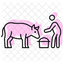 Farmer Feeding Cow Farmer Feeding Icon