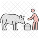 Farmer Feeding Cow Farmer Feeding Icon