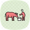 Farmer Feeding Cow Icon