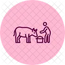 Farmer Feeding Cow Farmer Feeding Icon