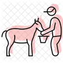 Farmer Milking Goat Farmer Milking Icon