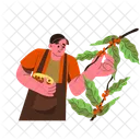 Farmer Picking Coffee Beans Farmer Agriculture Icon