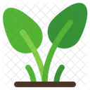 Farming Gardening Plant Icon