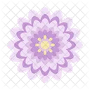 Farming And Gardening Chrysanthemum Blossom Icon