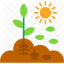 Agronomy Crop Planting Icon