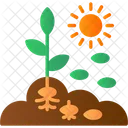 Agronomy Crop Planting Icon