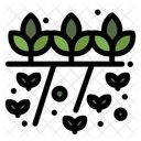 Plant Grow Grower Nature Icon