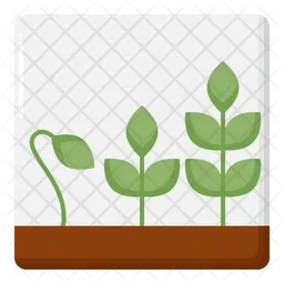 Farming Growth  Icon