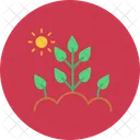 Farming Agriculture Farm Icon