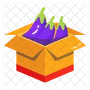Farming Box Vegetable Icon