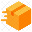 Fast Delivery Package Delivery Service Icon