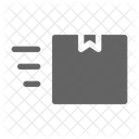 Fast Delivery Package Icon