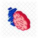 Fast Think Brain Icon