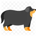 Fat Dog  Icon