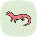 Fat Tailed Gecko Fattailedgecko Reptile Icon