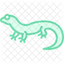 Fat Tailed Gecko Icon