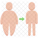 Fat To Slim  Icon