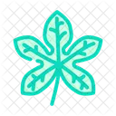 Fatsia Leaf  Icon